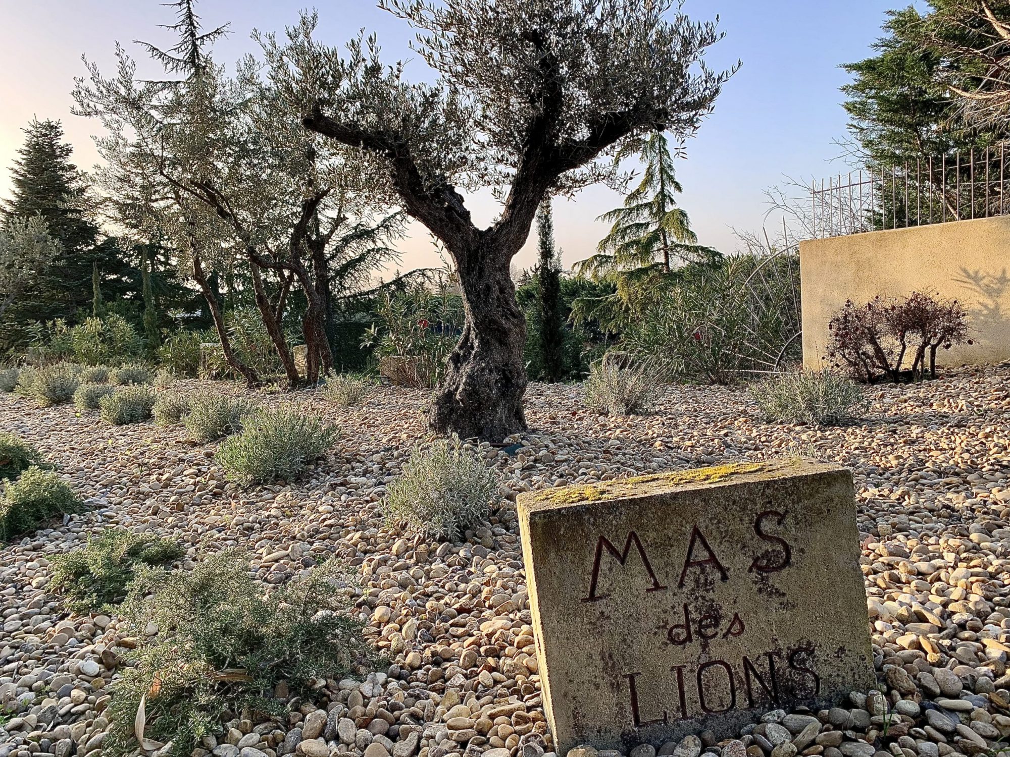 Jardin - Mas des Lions 4