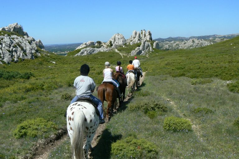 Horse riding in the Alpilles